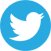 Twitter circle blue large